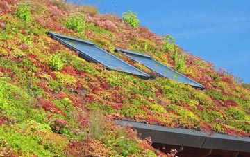 Gaunts End living roof systems